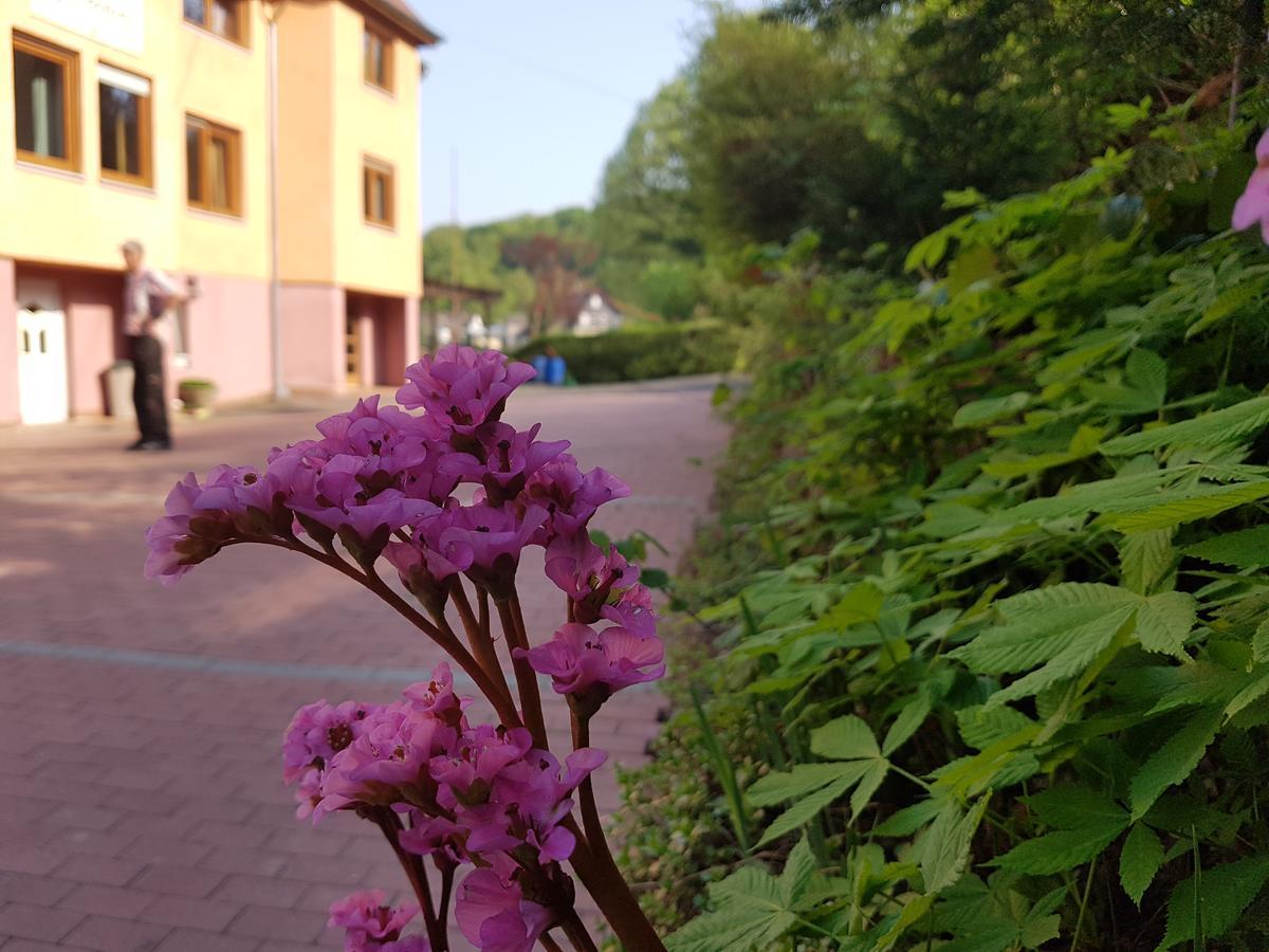 Hotel Zur Engelsburg Hausen-Wied Esterno foto